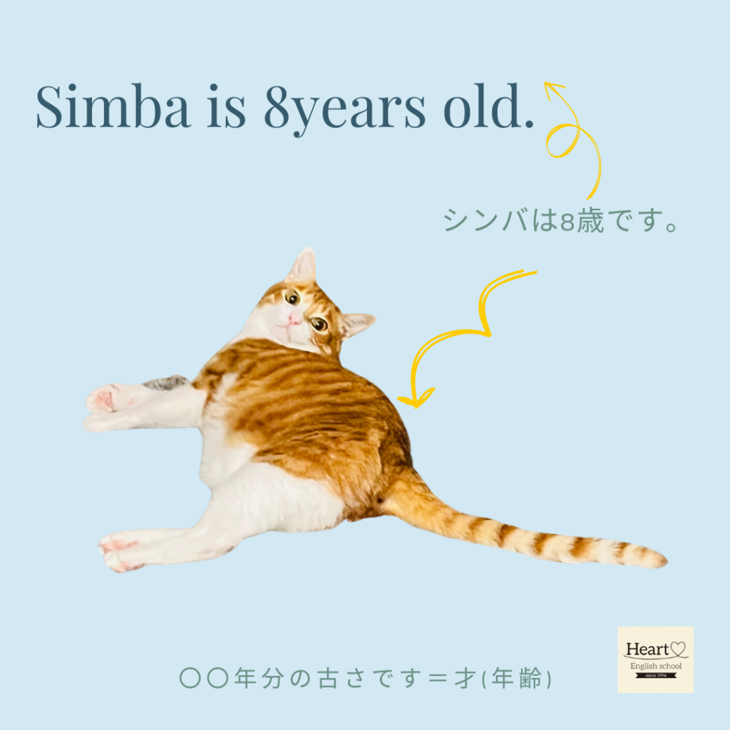 Years old / 年数分の古さです ぇえ？どういうこと？ - 大阪高槻